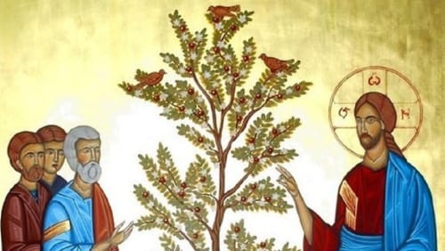 Dụ ngôn Hạt Cải