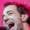 Albert Hammond, Jr.