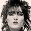 Siouxsie And The Banshees