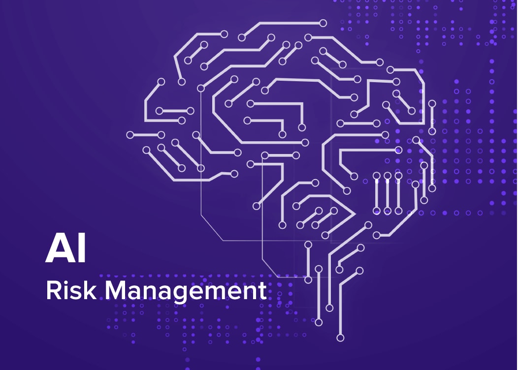 AI Risk Management