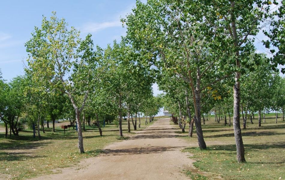 Radville Laurier Regional Park / Radius Credit Union Campground