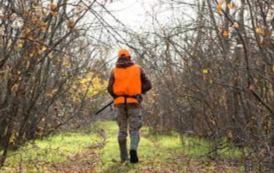 Big Bend Hunt Camp