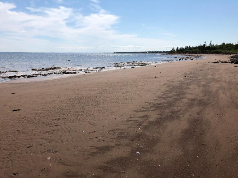 Hunter Beach Campground photo 4