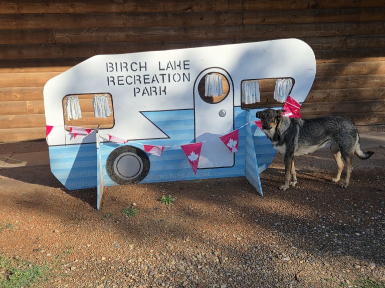 Innisfree Birch Lake Campground photo 3
