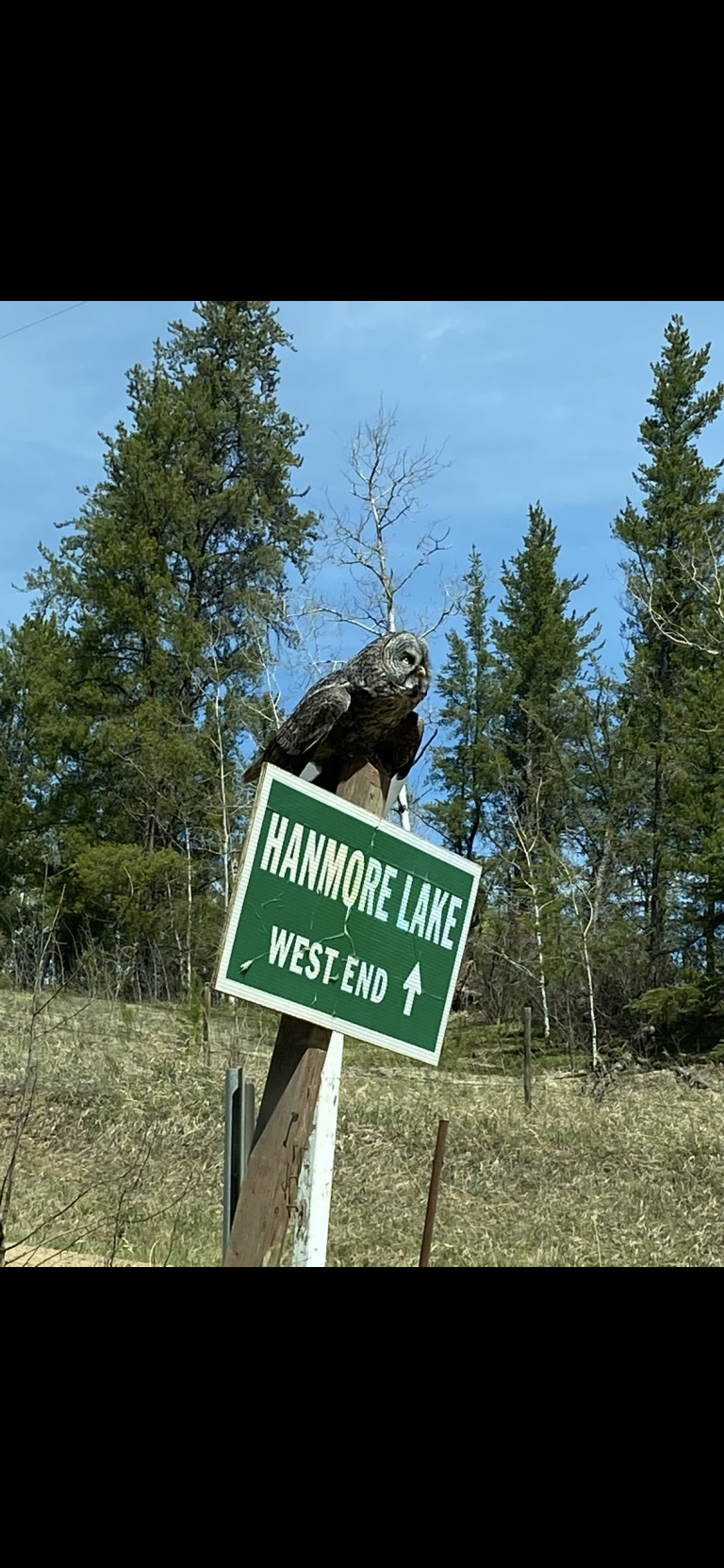 Hanmore Lake West Campground