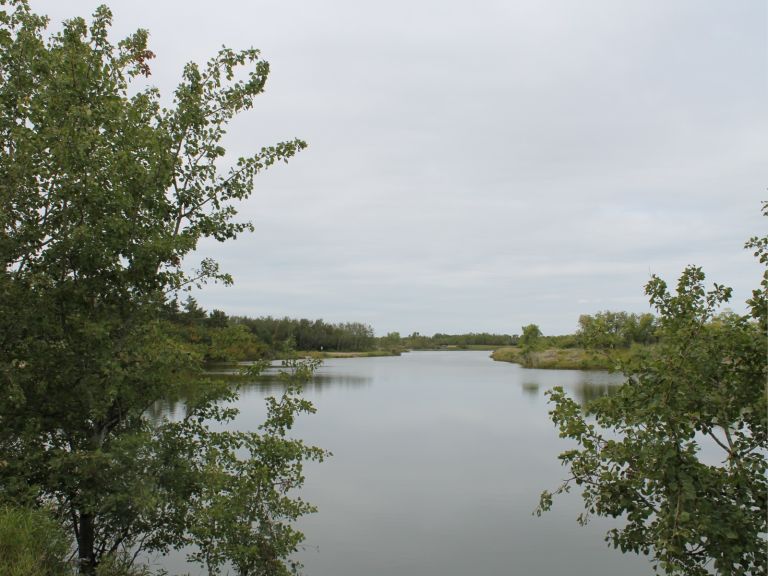 Black Nugget Lake Campground photo 2