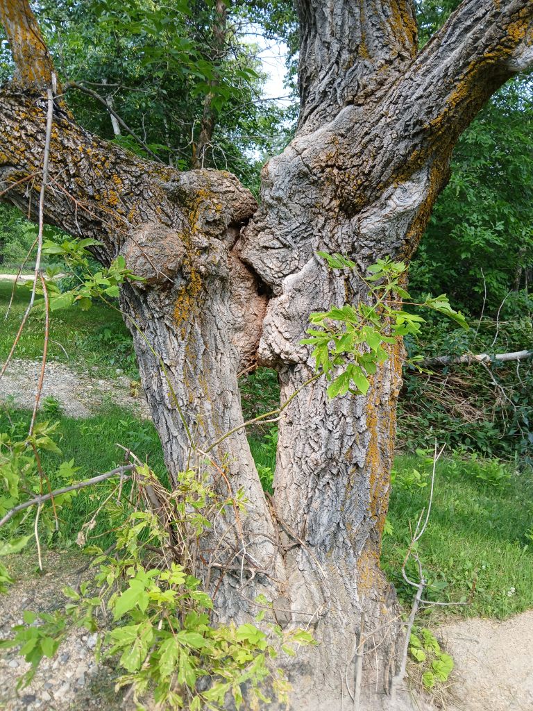 Keld Park photo 5
