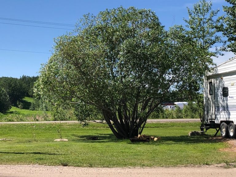 Rosebud Valley Campground photo 5