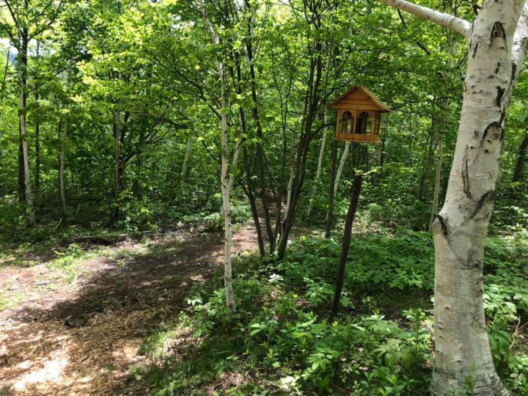 Riverside Retreat photo 2
