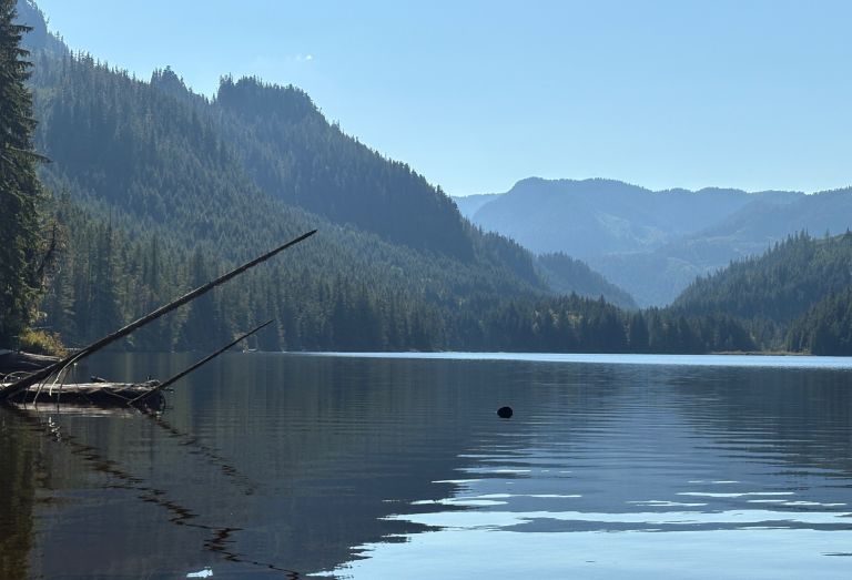 Clint Beek Recreation Site photo 5