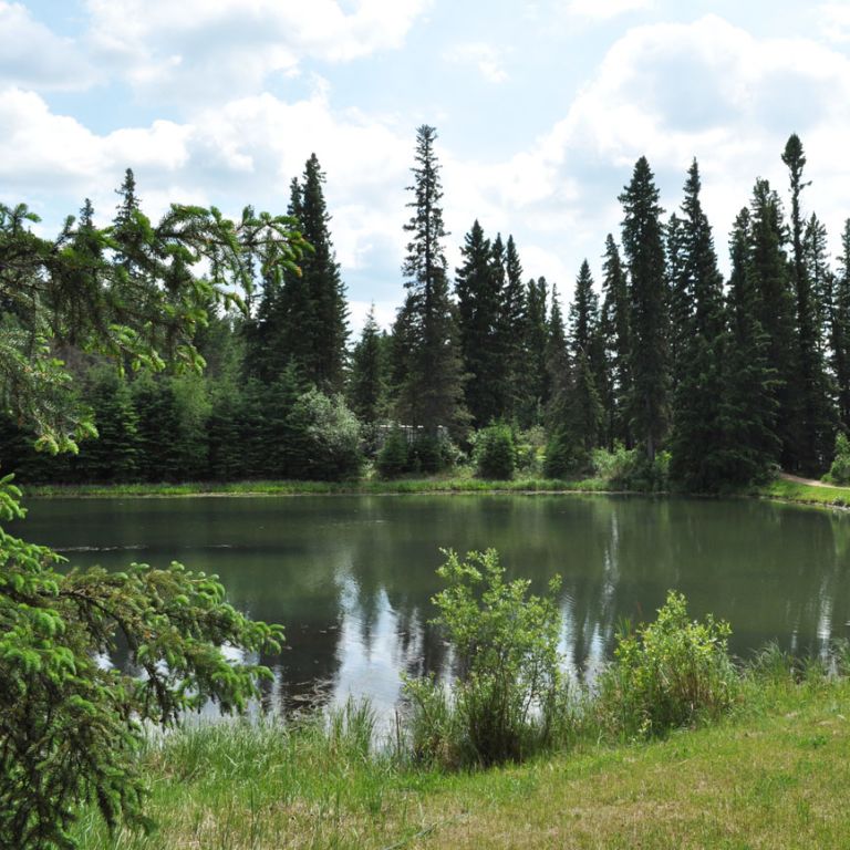 Brightsand Lake Regional Park photo 5