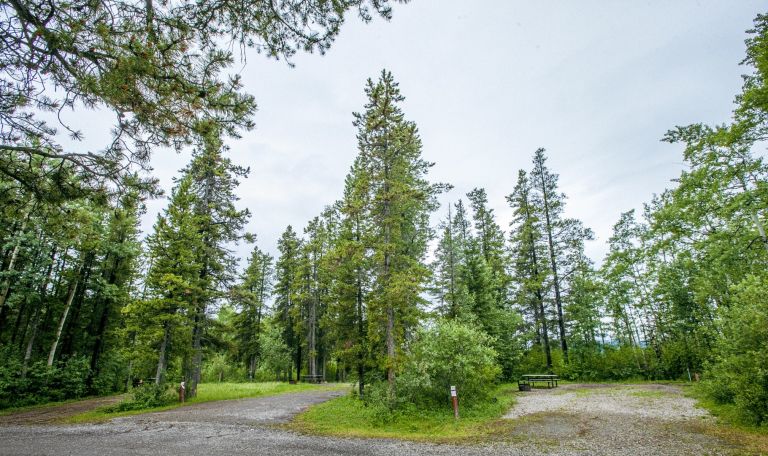 Grande Cache Campground photo 3