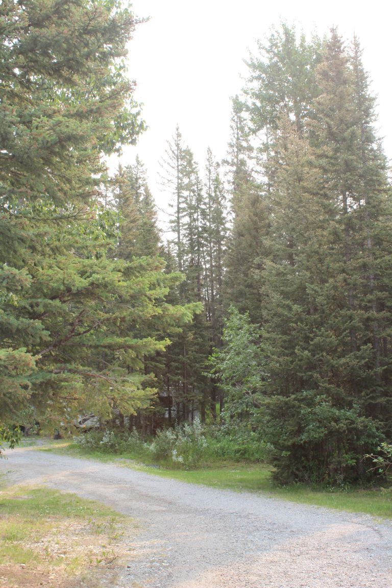 Tall Timber Leisure Park photo 2