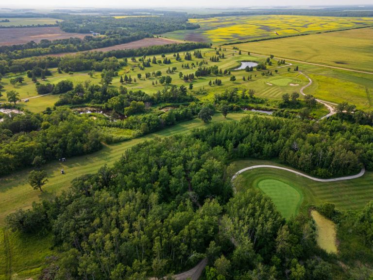 Netley Creek Golf Course & RV Park photo 4