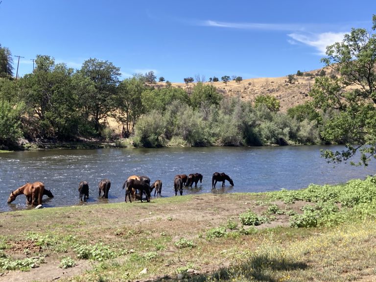 Lazy Horse RV Park photo 4