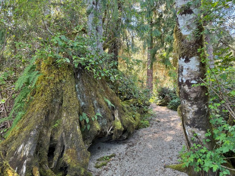 Link River Municipal Campground photo 3