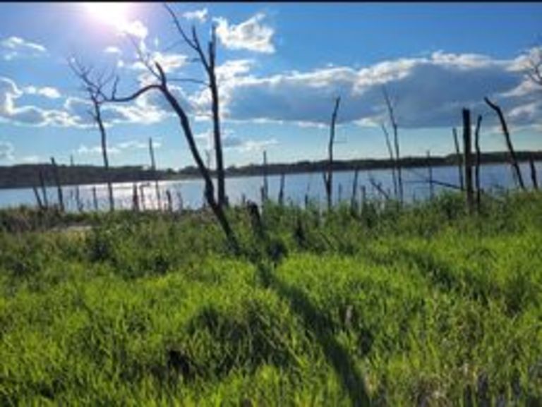 St. Brieux Regional Park photo 3