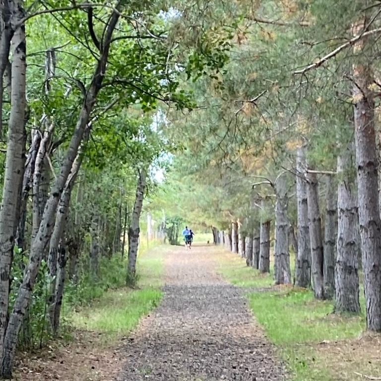 Delfrari Park and Campground photo 3