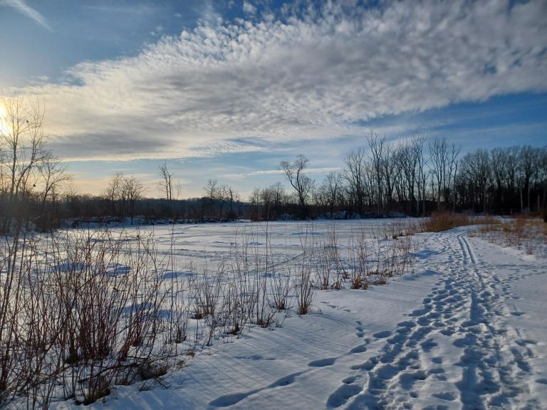 Big Bend Conservation Area photo 2