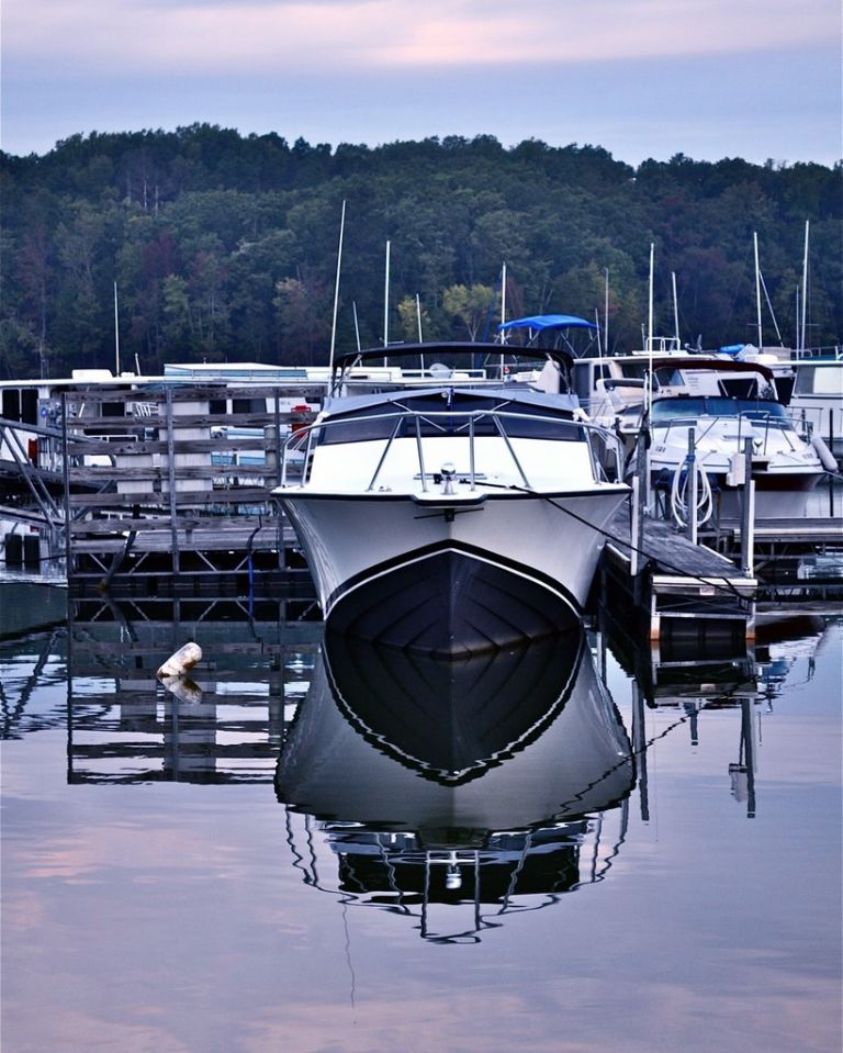 Steele Creek Marina & Campground photo 2