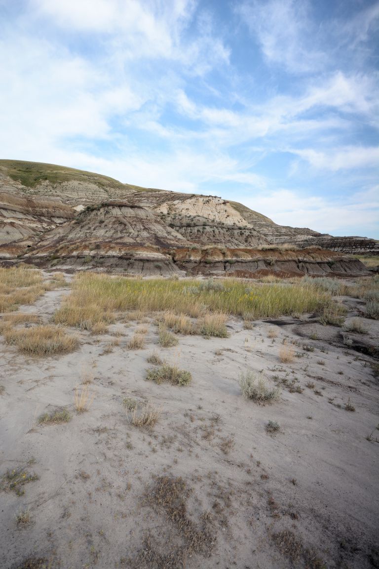 Tolman Campgrounds photo 4