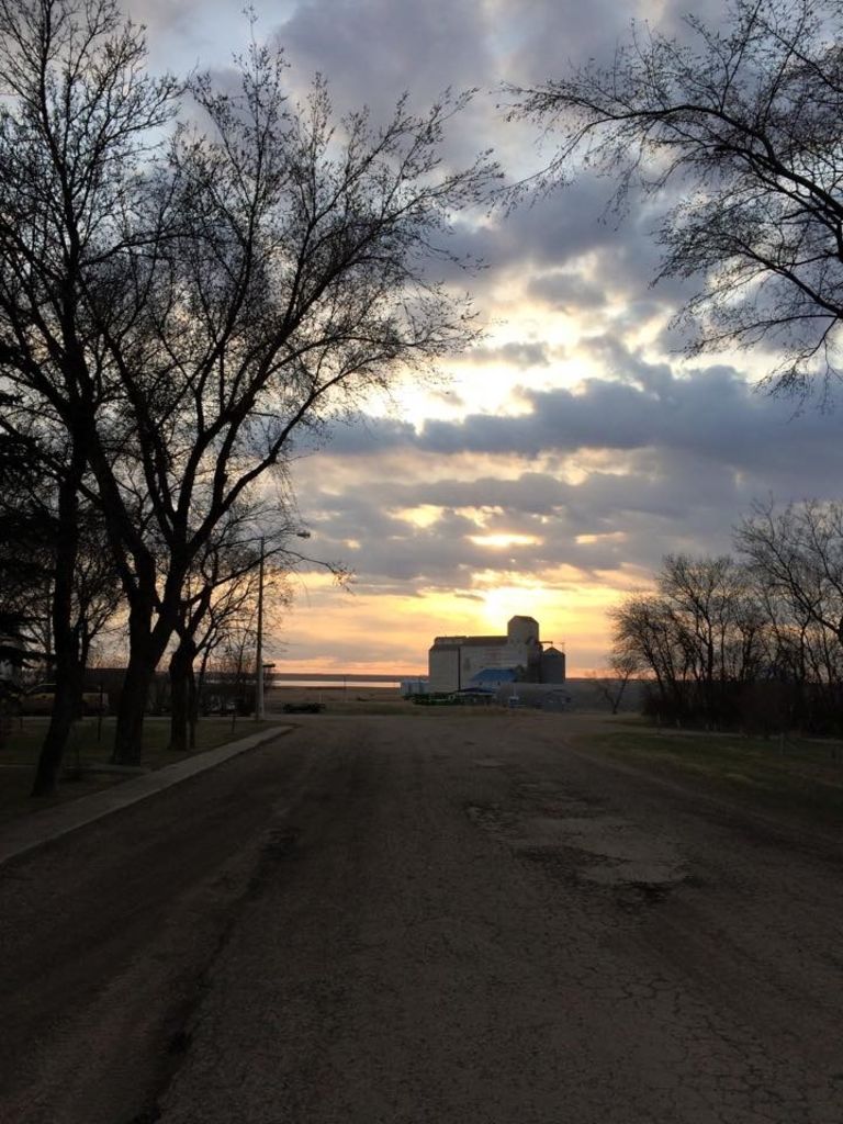 Mossbank RV Park photo 4