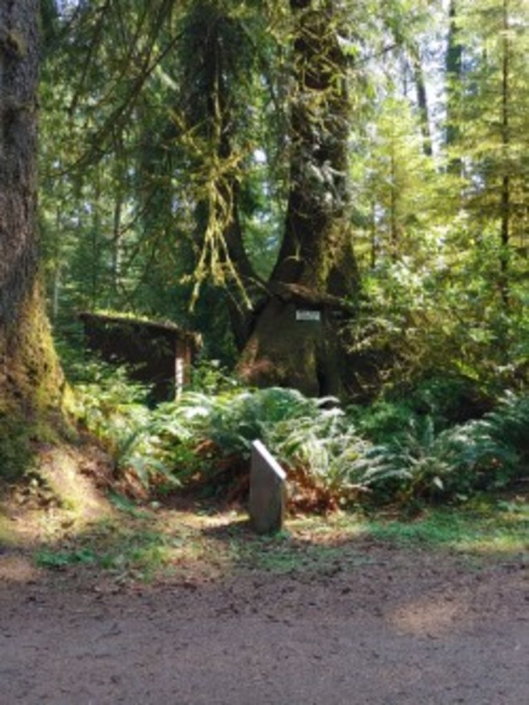 Quatse Regional Campground photo 4