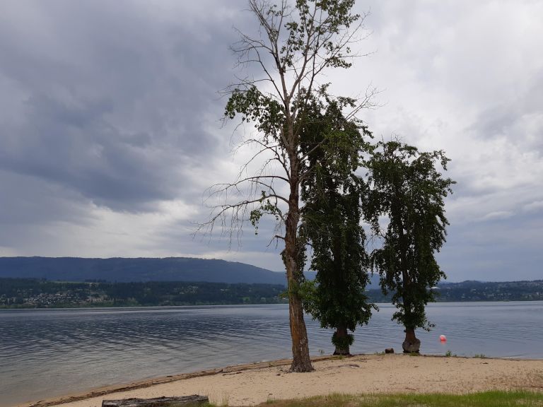Sandy Point Campground photo 2