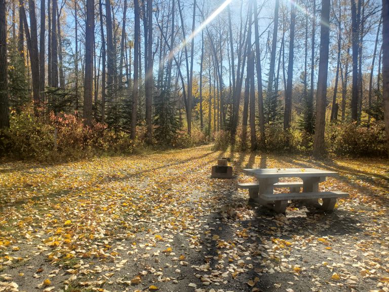 Blackfoot Regional Park