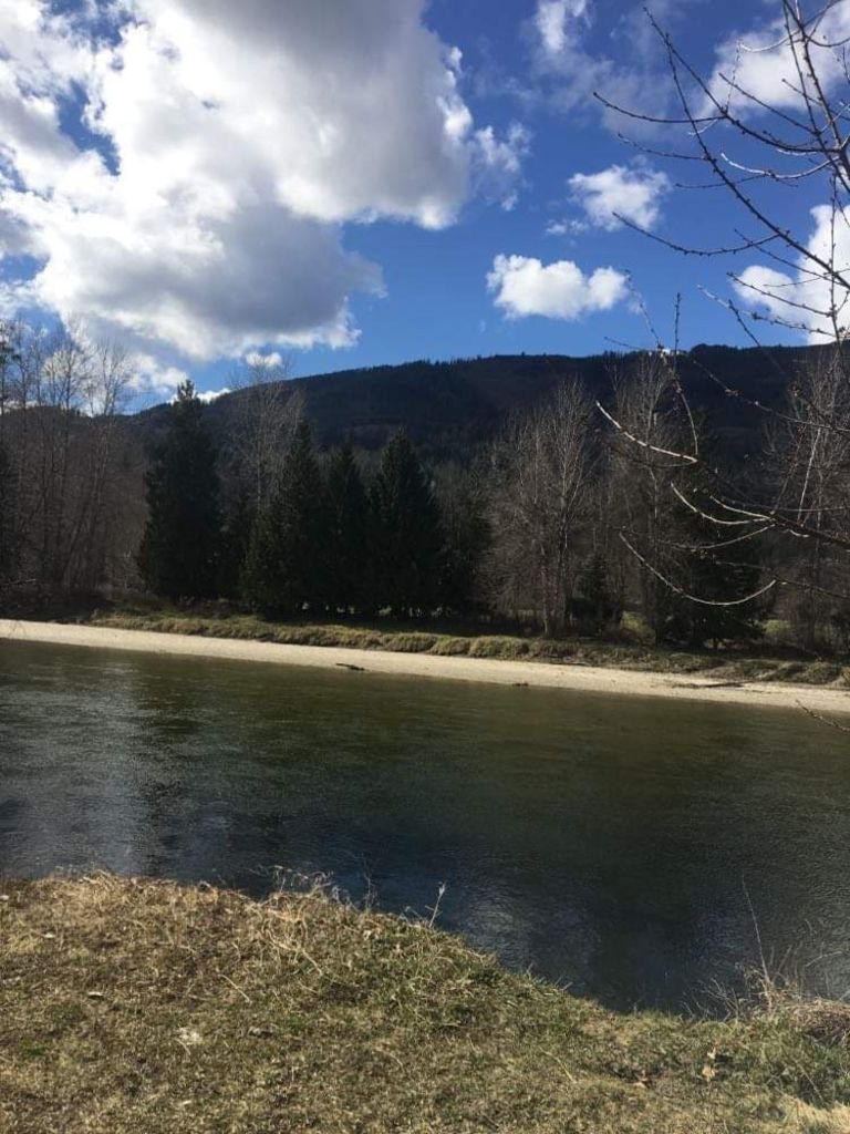 Hangin' Loose in Sicamous photo 3