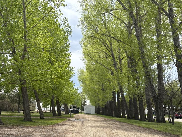 Eastview Park Campground photo 4