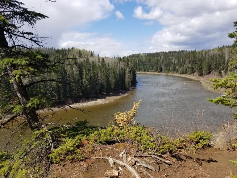 Willmore Park Campground photo 4