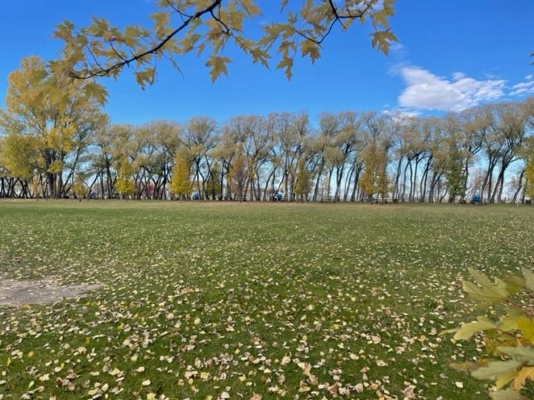 Williams RV Park and Campground photo 3