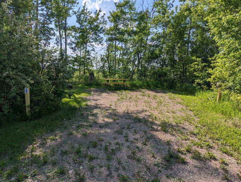 Carlyle Lions Campground photo 4