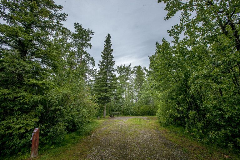 Grande Cache Campground photo 2