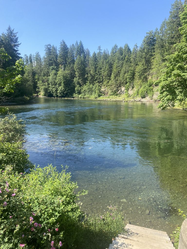 Coleman RV & Campground photo 5