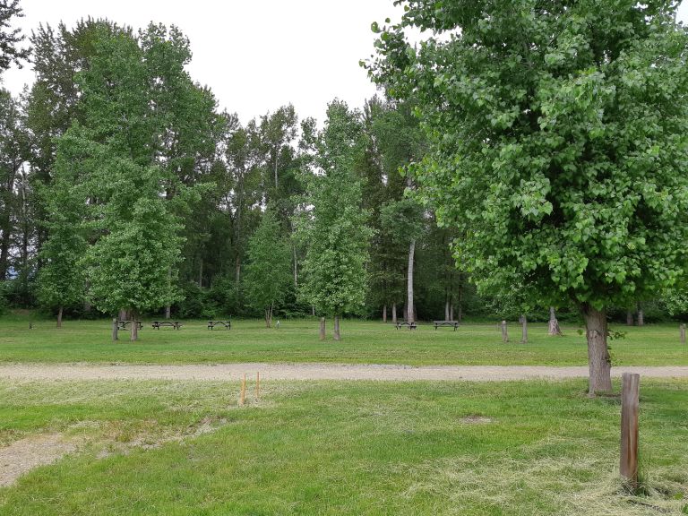 Sandy Point Campground photo 3