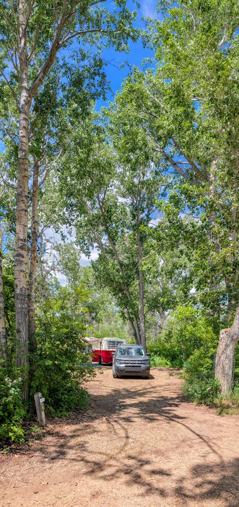 Tolman Campgrounds photo 2