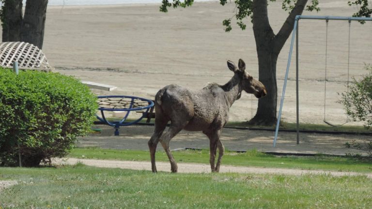 Cabri Regional Park photo 4