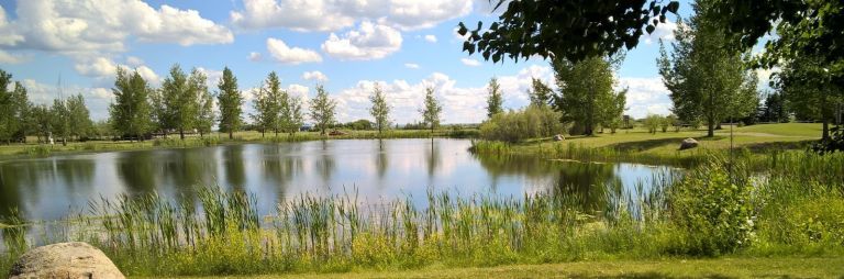 Delfrari Park and Campground