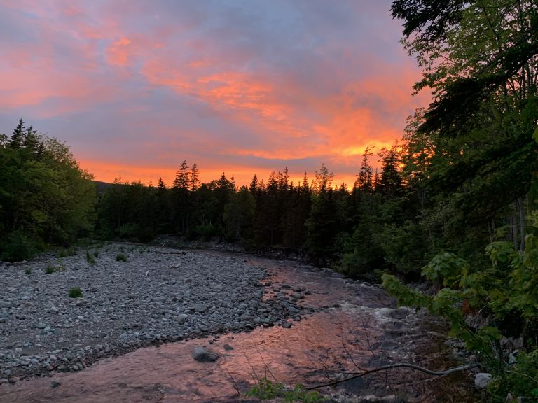 Avoca Birches Campground photo 3