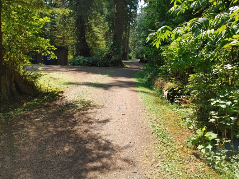 Quatse Regional Campground photo 5