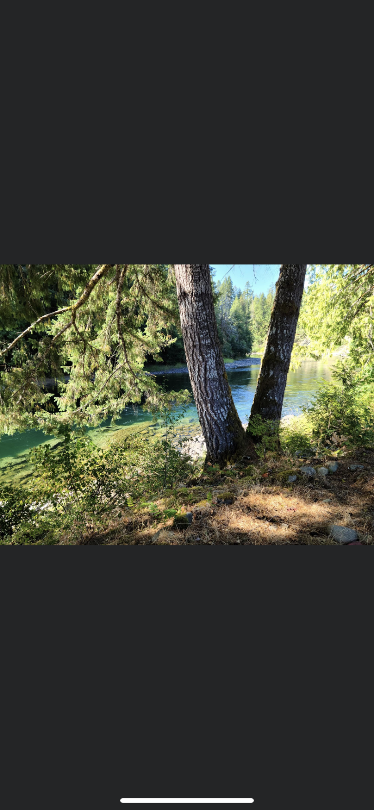 Coleman RV & Campground photo 2