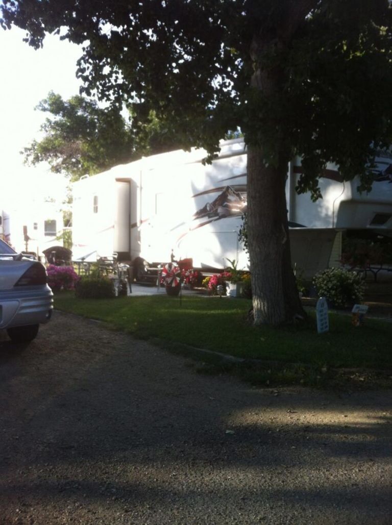 Pondarosa Campground photo 4