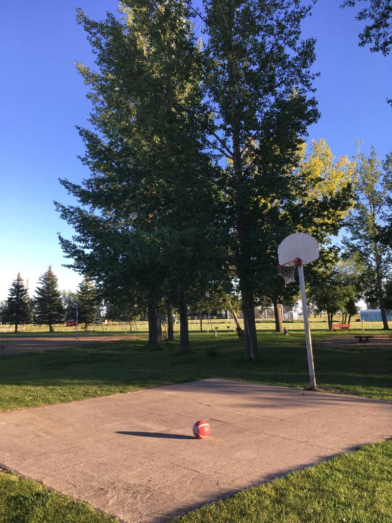 Kemoca Regional Park photo 3