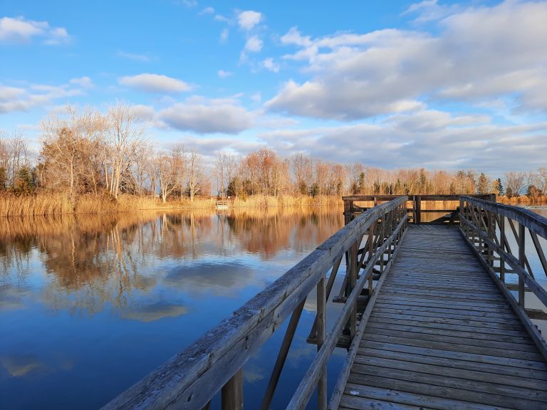 C.M. Wilson Conservation Area photo 5