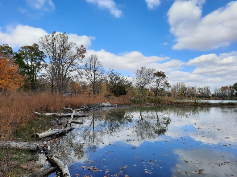 C.M. Wilson Conservation Area photo 4