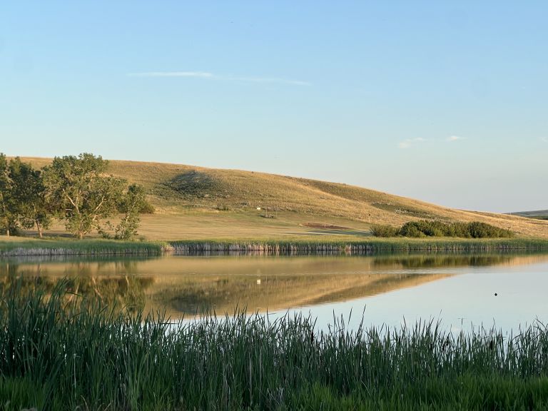 Hazlet Regional Park photo 5