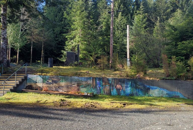 Broughton Strait Campground photo 4