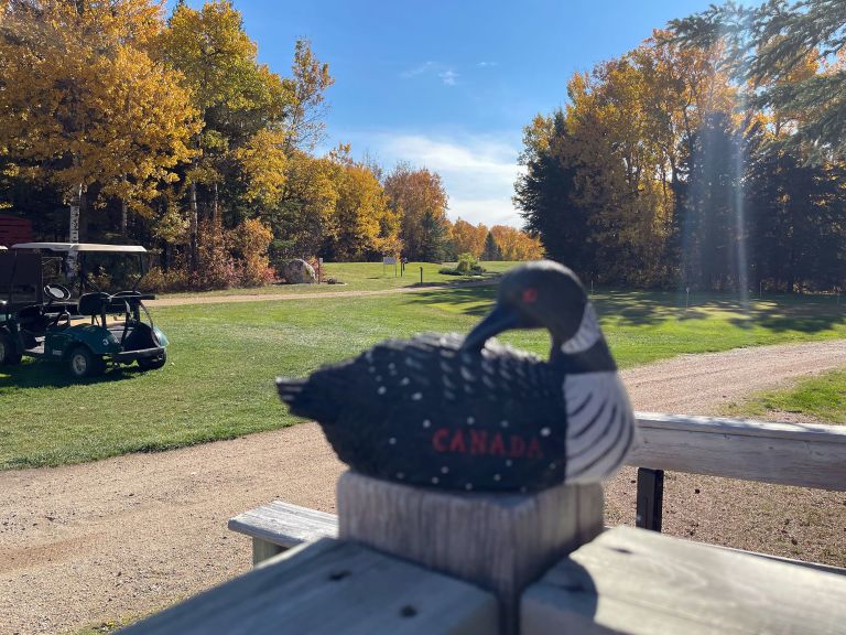 Little Loon Regional Park photo 2